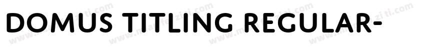Domus Titling Regular字体转换